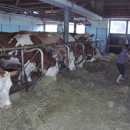 Bauernhof Hundbichl Çiftlik konaklama