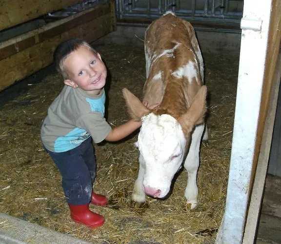Bauernhof Hundbichl Séjour à la ferme *