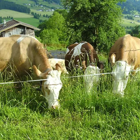 مزرعة للإقامة Bauernhof Hundbichl *