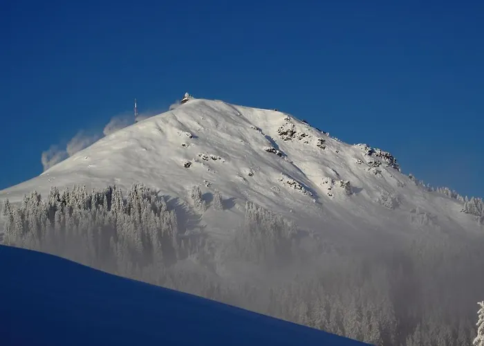 Bauernhof Hundbichl *