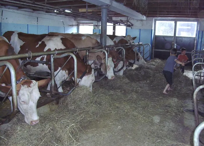 Bauernhof Hundbichl Alojamento de Turismo Rural