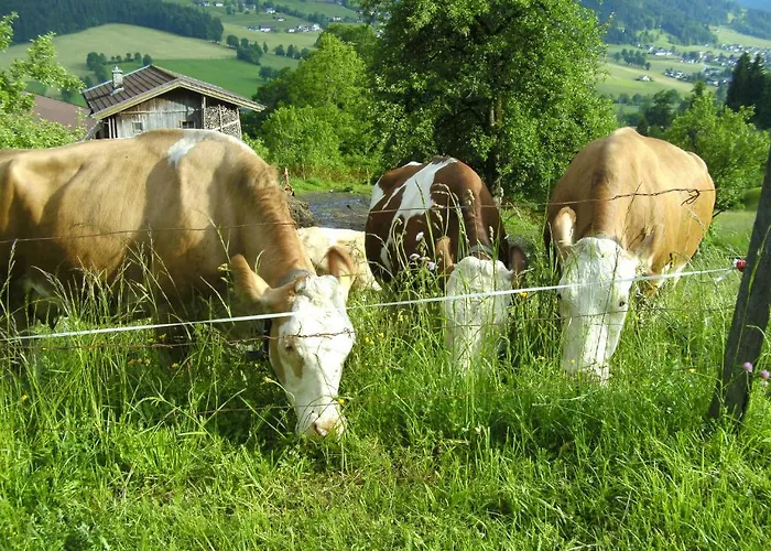 Alojamento de Turismo Rural Bauernhof Hundbichl *
